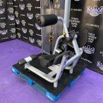 Precor Discovery Low Back Extension