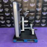 Precor Discovery Low Back Extension