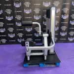 Precor Discovery Low Back Extension