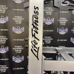 Life Fitness Pro 2 Assisted & Free Weight Dip & Pull-up Machine