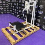 Cybex Rotary Multi Hip & Glute