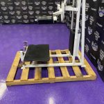 Cybex Rotary Multi Hip & Glute