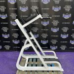 Precor Dip & Leg Raise – Chest Abs Triceps & Obliques