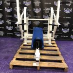 Strive Plate Loaded ISO Lateral Chest & Incline Press w/Smart Strength Technology