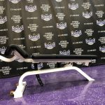 Precor Adjustable Decline Abdominal Bench